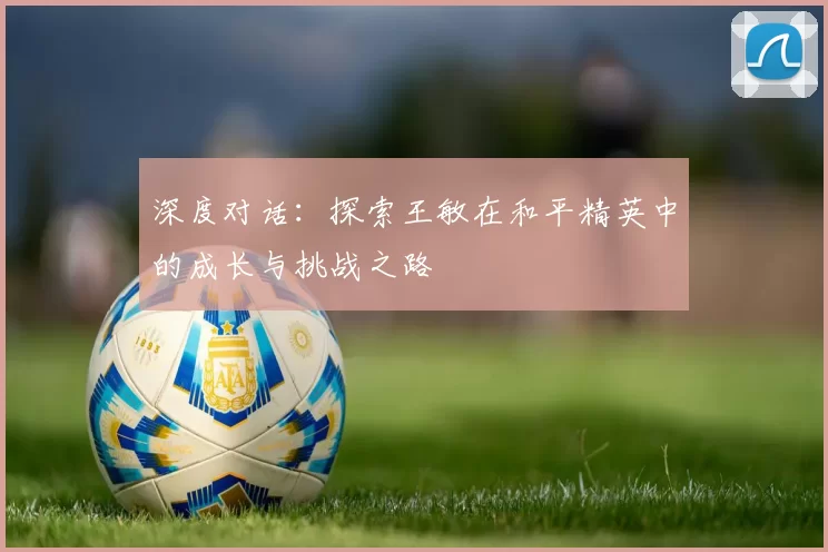 深度对话：探索王敏在和平精英中的成长与挑战之路