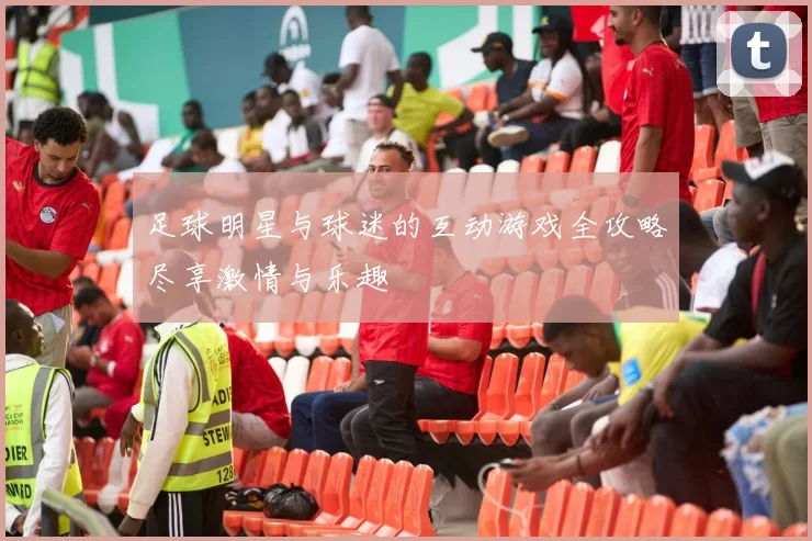 足球明星与球迷的互动游戏全攻略尽享激情与乐趣