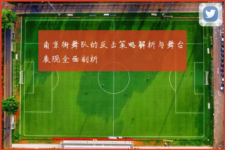 南京街舞队的反击策略解析与舞台表现全面剖析