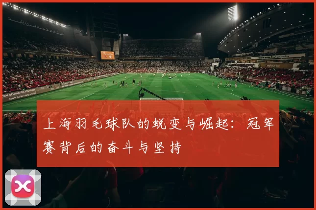 上海羽毛球队的蜕变与崛起：冠军赛背后的奋斗与坚持