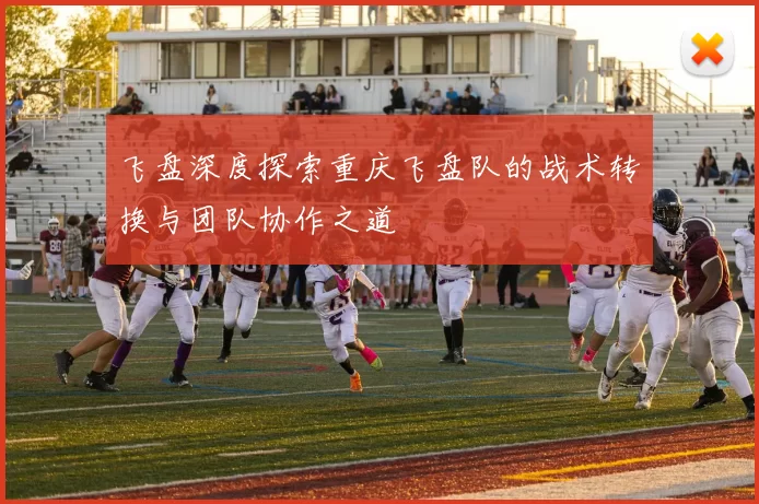 飞盘深度探索重庆飞盘队的战术转换与团队协作之道