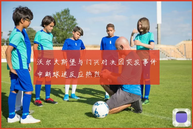 沃尔夫斯堡与门兴对决因突发事件中断球迷反应热烈