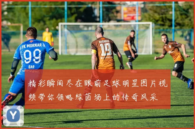 精彩瞬间尽在眼前足球明星图片视频带你领略绿茵场上的传奇风采