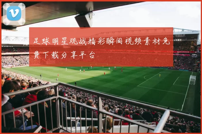 足球明星观战精彩瞬间视频素材免费下载分享平台