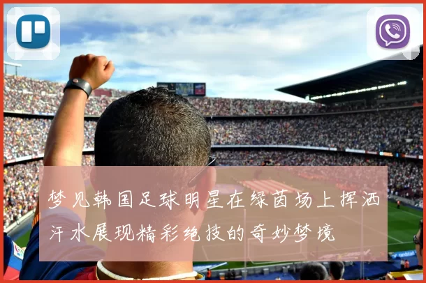梦见韩国足球明星在绿茵场上挥洒汗水展现精彩绝技的奇妙梦境