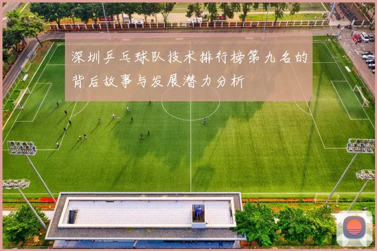 深圳乒乓球队技术排行榜第九名的背后故事与发展潜力分析