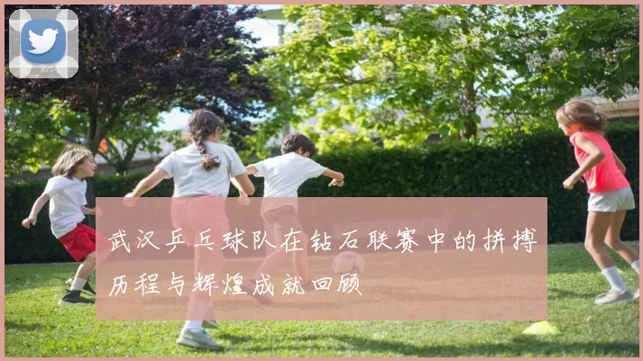 武汉乒乓球队在钻石联赛中的拼搏历程与辉煌成就回顾