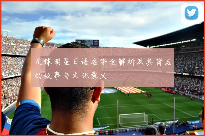 足球明星日语名字全解析及其背后的故事与文化意义