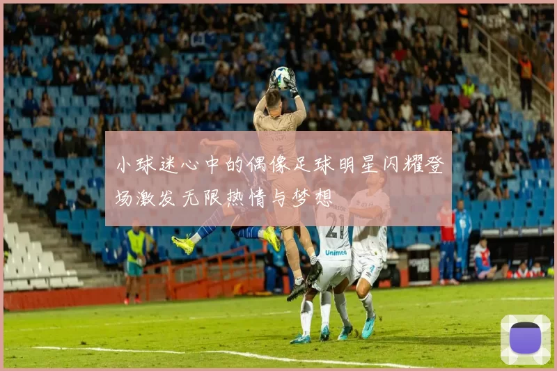 小球迷心中的偶像足球明星闪耀登场激发无限热情与梦想