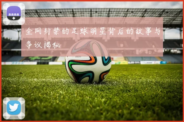 全网封禁的足球明星背后的故事与争议揭秘