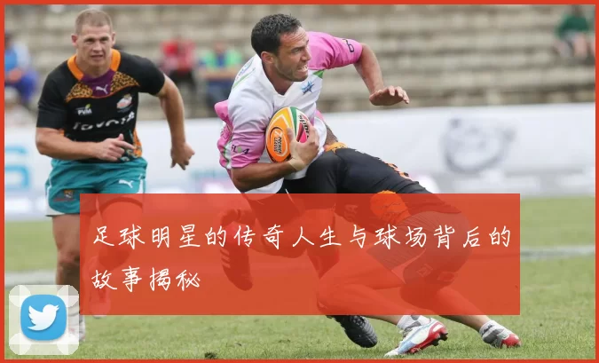 足球明星的传奇人生与球场背后的故事揭秘
