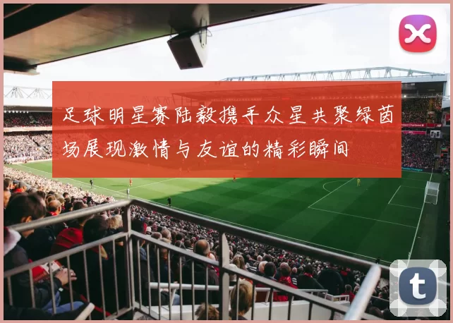 足球明星赛陆毅携手众星共聚绿茵场展现激情与友谊的精彩瞬间