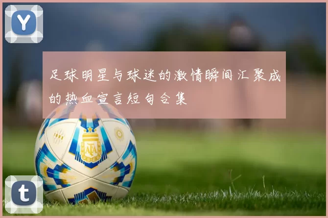 足球明星与球迷的激情瞬间汇聚成的热血宣言短句合集