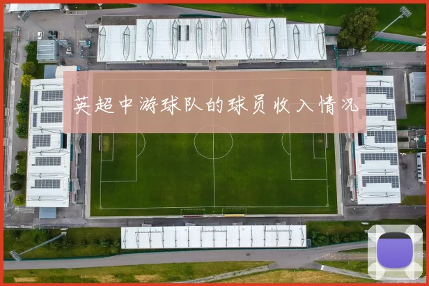 英超中游球队的球员收入情况