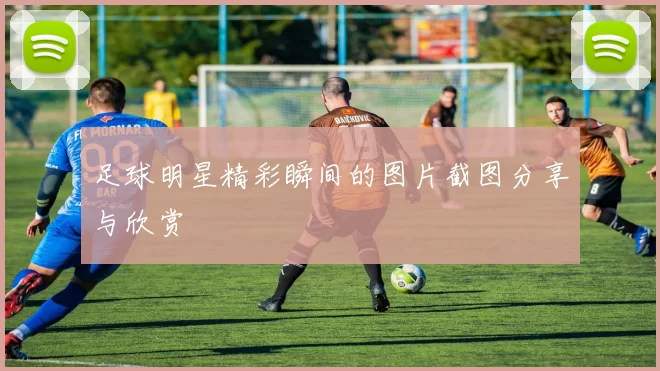 足球明星精彩瞬间的图片截图分享与欣赏