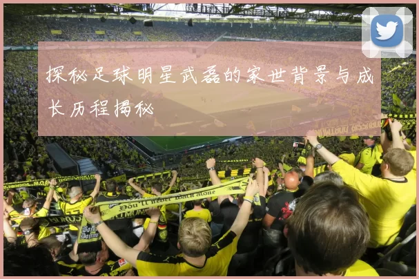 探秘足球明星武磊的家世背景与成长历程揭秘