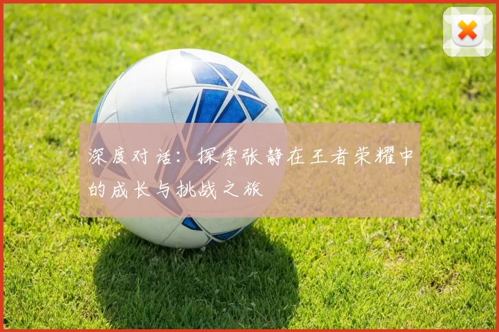 深度对话：探索张静在王者荣耀中的成长与挑战之旅