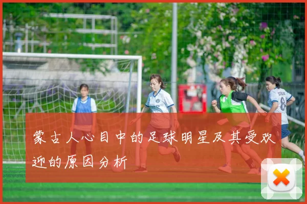 蒙古人心目中的足球明星及其受欢迎的原因分析