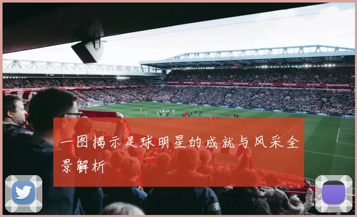 一图揭示足球明星的成就与风采全景解析