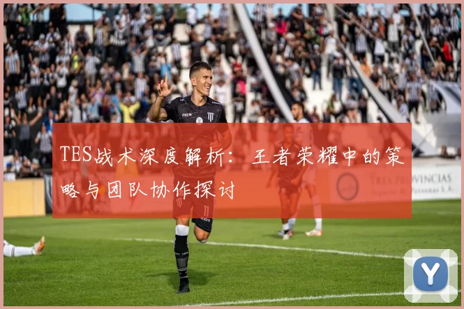 TES战术深度解析：王者荣耀中的策略与团队协作探讨