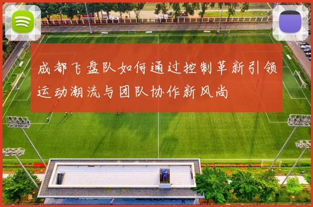 成都飞盘队如何通过控制革新引领运动潮流与团队协作新风尚