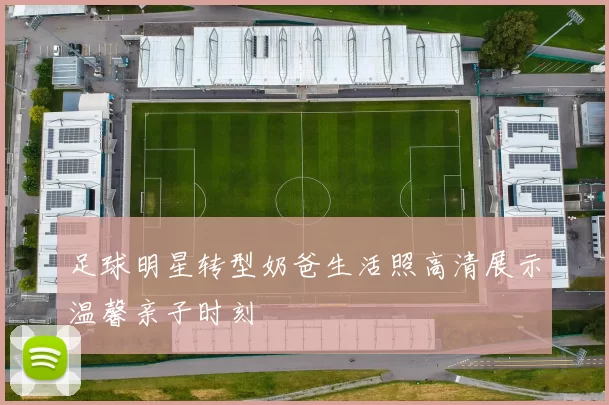 足球明星转型奶爸生活照高清展示温馨亲子时刻