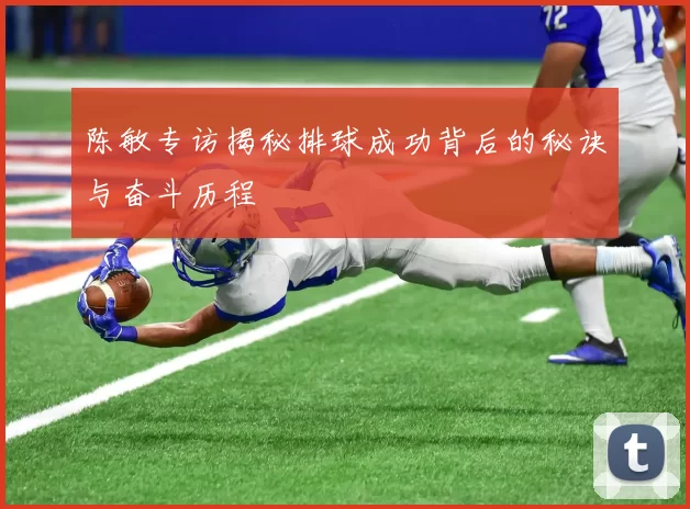 陈敏专访揭秘排球成功背后的秘诀与奋斗历程