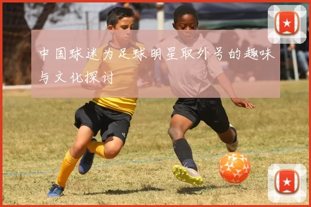 中国球迷为足球明星取外号的趣味与文化探讨