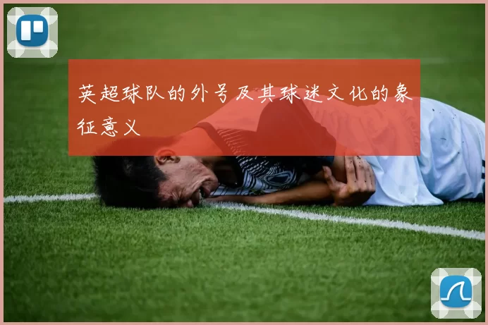 英超球队的外号及其球迷文化的象征意义