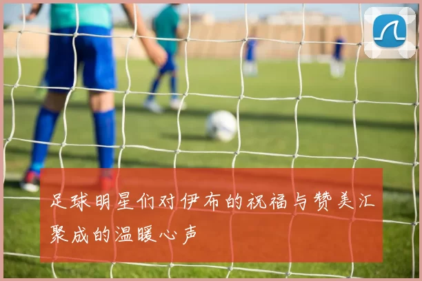 足球明星们对伊布的祝福与赞美汇聚成的温暖心声