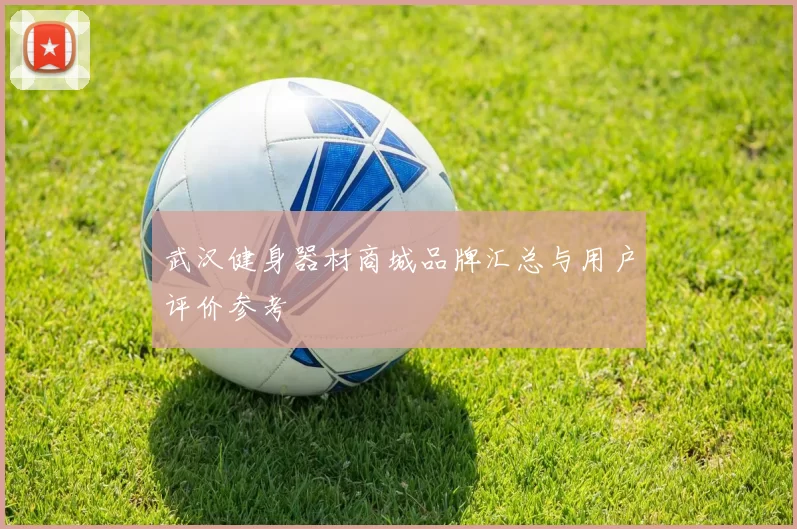 武汉健身器材商城品牌汇总与用户评价参考
