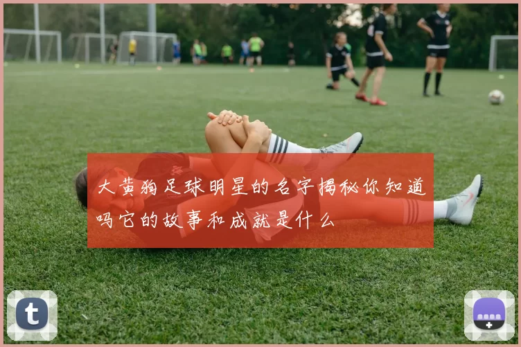 大黄狗足球明星的名字揭秘你知道吗它的故事和成就是什么